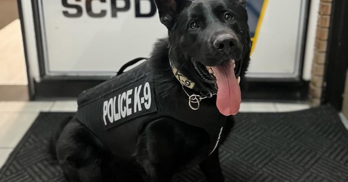 Scpd Officer SCPD K9 officers receive protective vests | Metro Kanawha ...