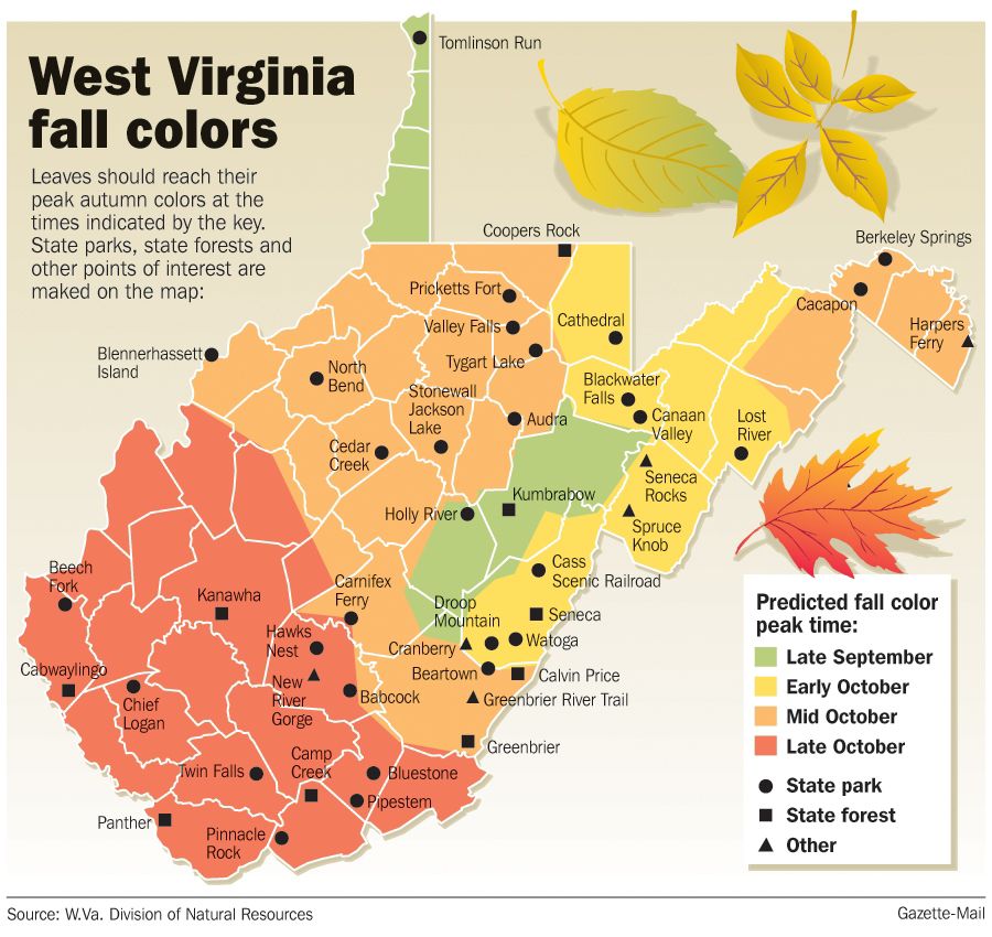 WV Forestry Layoffs Spark Change In Fall Foliage Reports | Outdoor ...