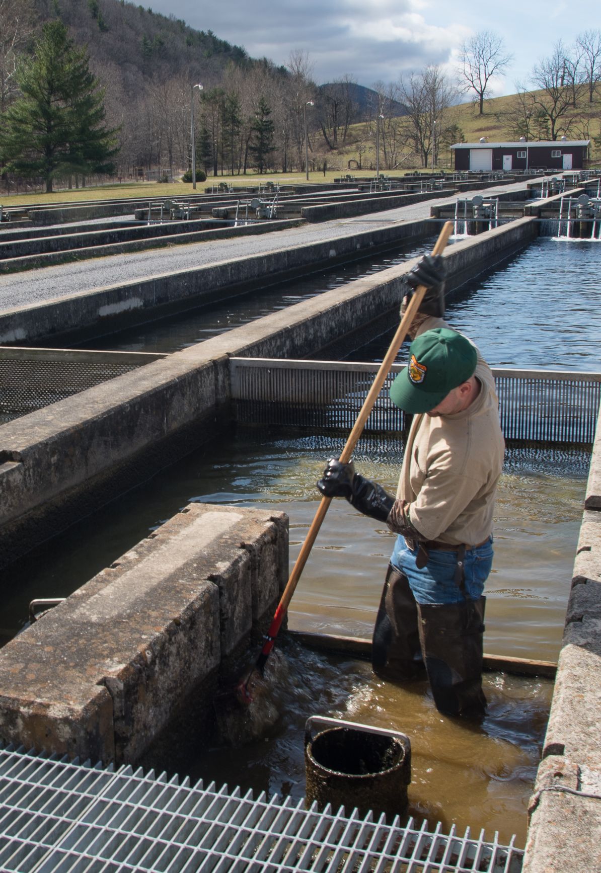 For hatchery workers, raising trout a neverending process Outdoor