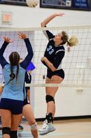 Prep volleyball: Philip Barbour's Halfin named Player of the Year