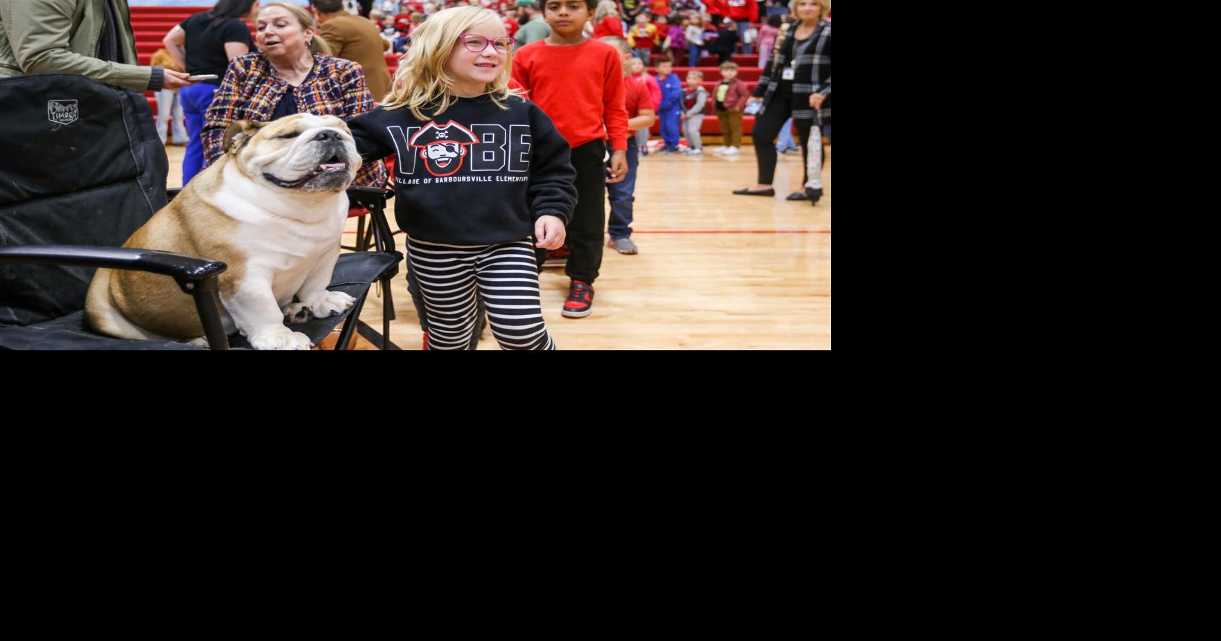 Photos Barboursville Middle School students celebrate Babydog's