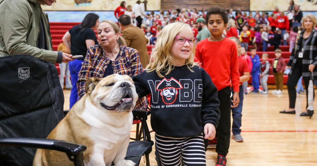 Photos Barboursville Middle School students celebrate Babydog's