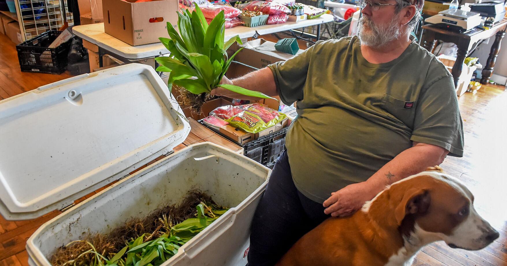 A&S Merchandise is ready for ramps season in West Virginia | Kanawha Valley - Vimarsana News
