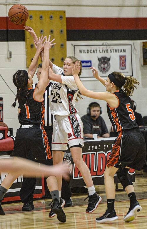 Girls Basketball Standings Statistics March 10 Girls