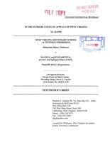Petitioner's Brief