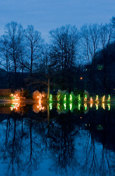 coonskin park lights up for christmas photos news coonskin park lights up for christmas photos news