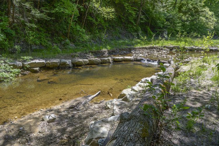 Kanawha State Forest
