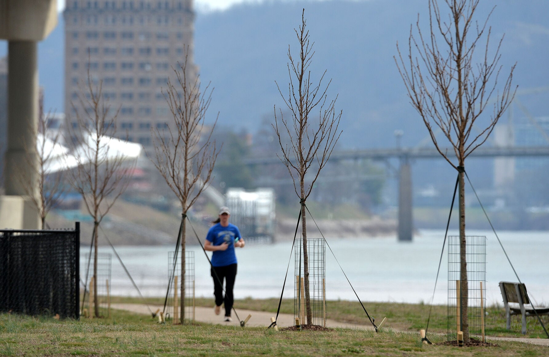 New trees planted to provide cover at Magic Island | Kanawha Valley ...