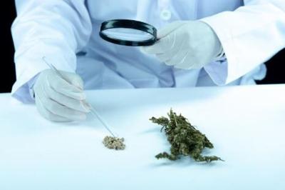 Marijuana Addiction Treatment
