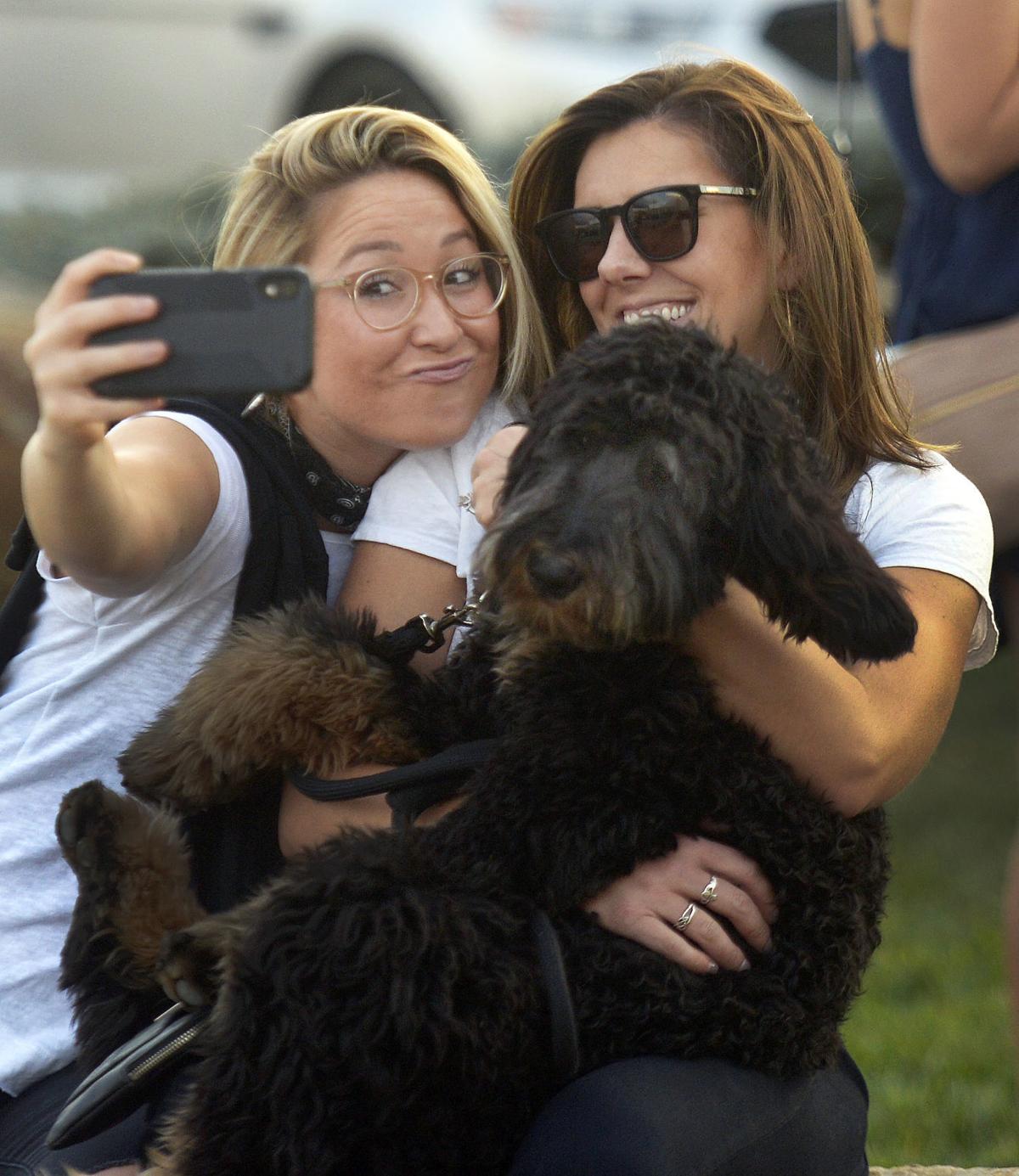 Community Supports Animal Shelter At Fifth Annual Kegs 4 K9s