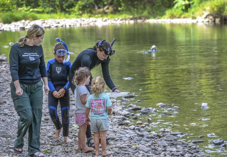 Seneca Rocks gives visitors a new full-immersion nature experience ...