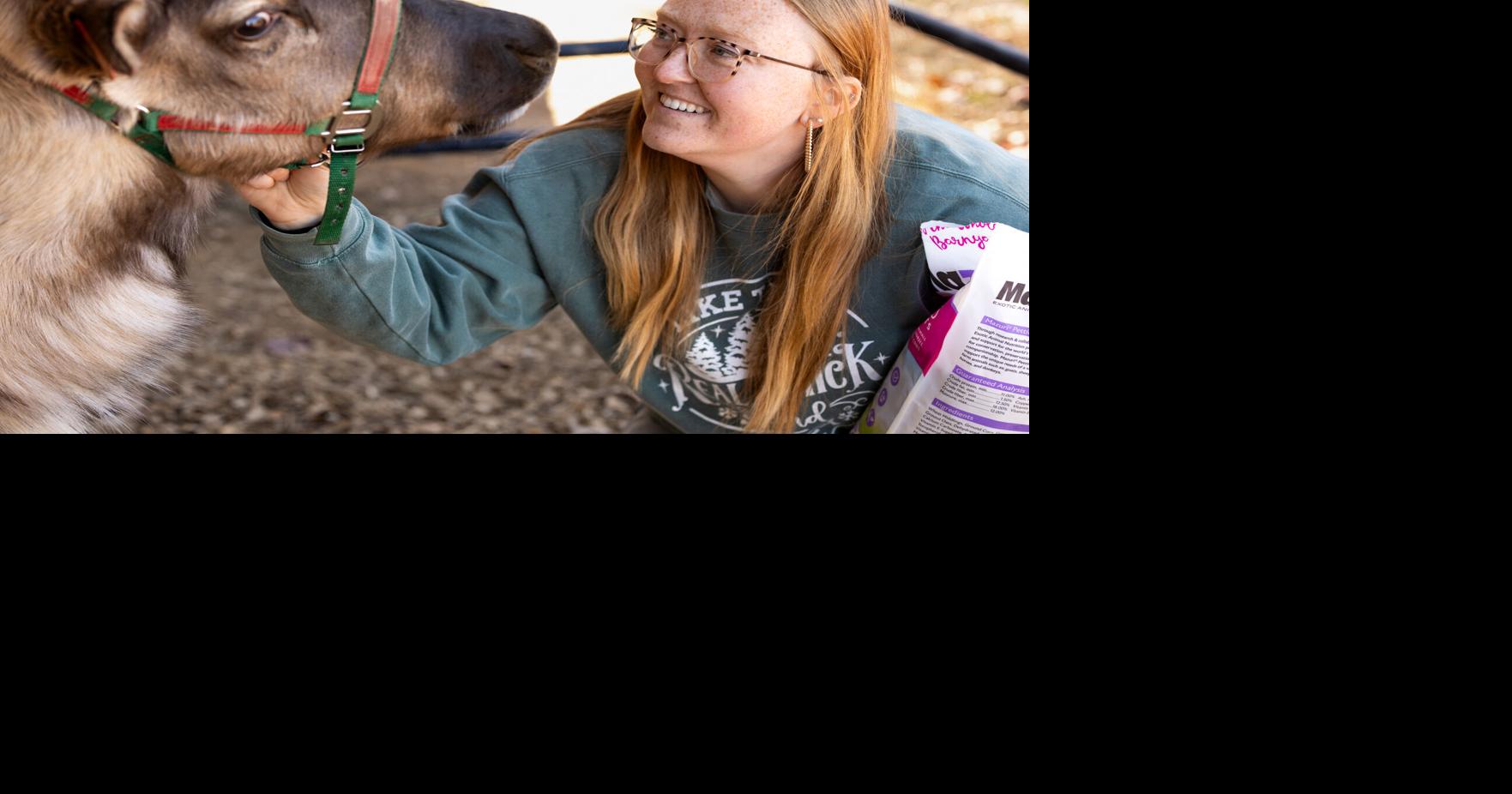 West Virginia's only reindeer at Old School Christmas Farm | Putnam ...