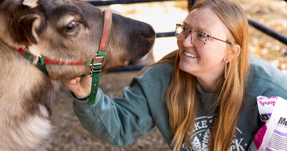 Debbie Rapp West Virginia's only reindeer at Old School Christmas Farm | Putnam ...