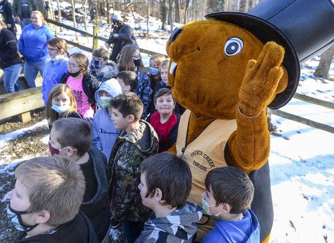 Groundhog Day 2024 WV French Creek Freddie granted reprieve