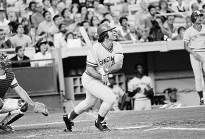 Rose Jackson Reinstated Baseball