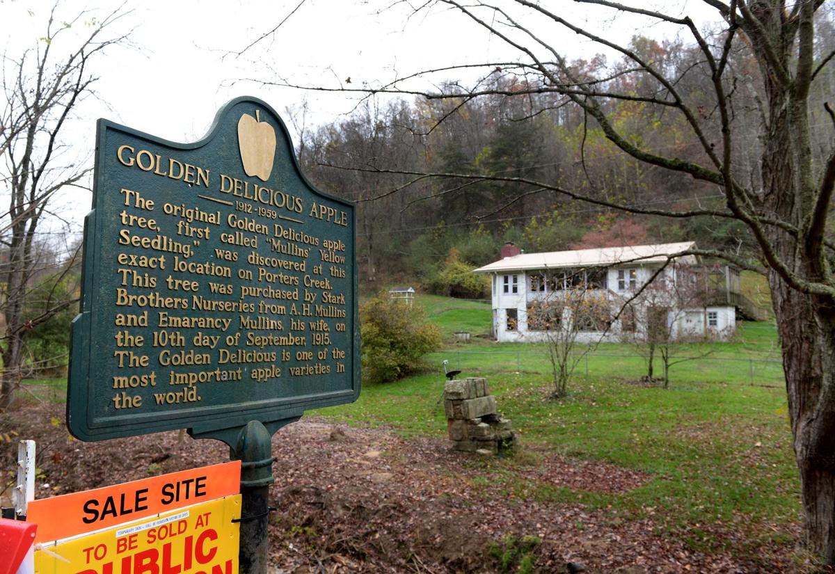 A Core Piece Of Wv History Up For On Saay News A Core Piece Of Wv History Up For On Saay News