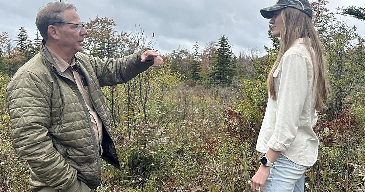 Millions enjoy WV’s national forests; Trump wants to open up logging just ...