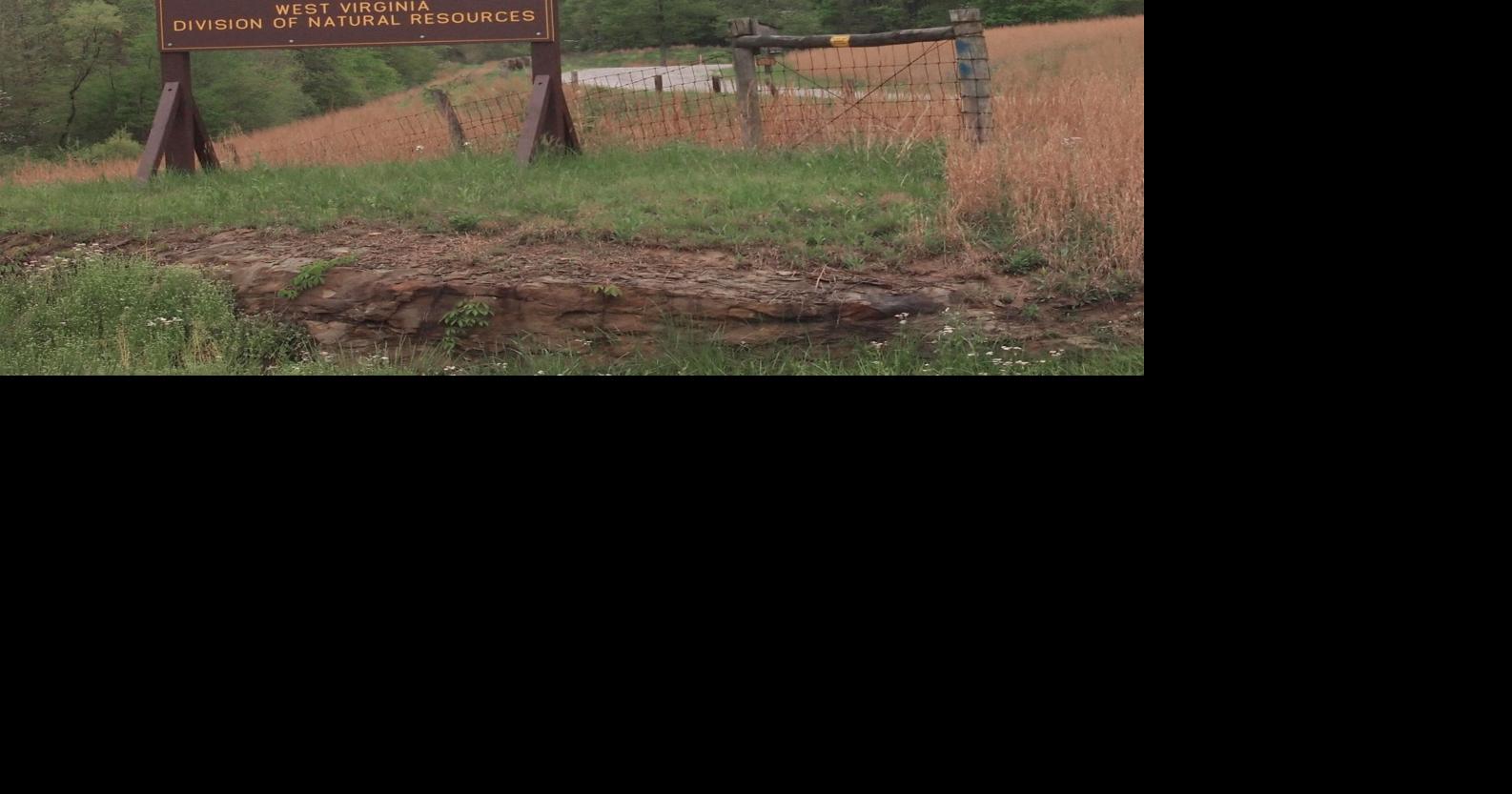 Hike new trails at Forks of Coal Metro Kanawha