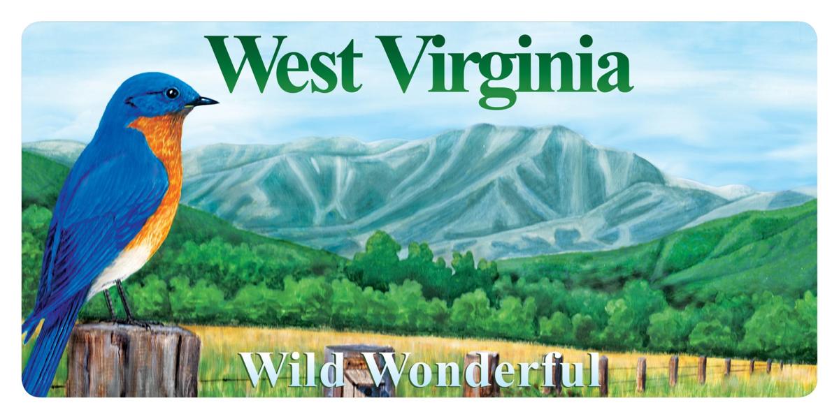 W Va S New Wildlife License Plates Feature Brook Trout Bluebird