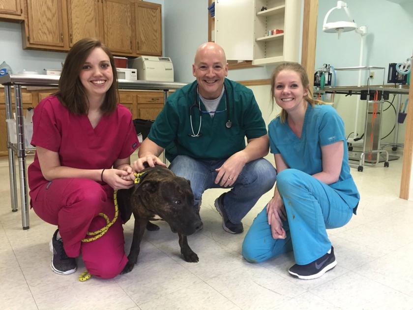 Kanawha animal shelter opens inhouse vet clinic to combat