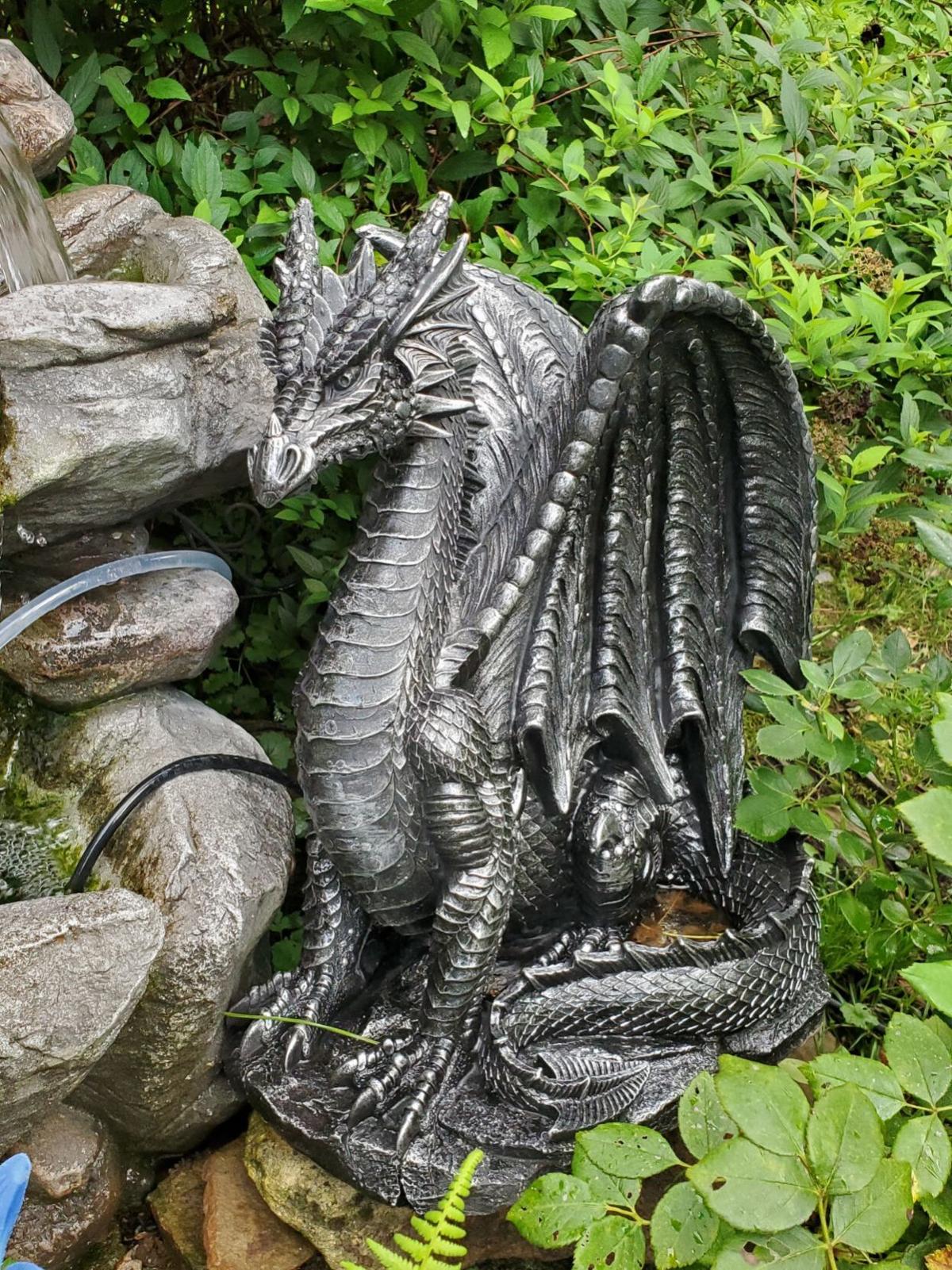 Good To Grow Dragons Gardens And My Third Grade Teacher Gardening Wvgazettemail Com Good To Grow Dragons Gardens And My Third Grade Teacher Gardening Wvgazettemail Com