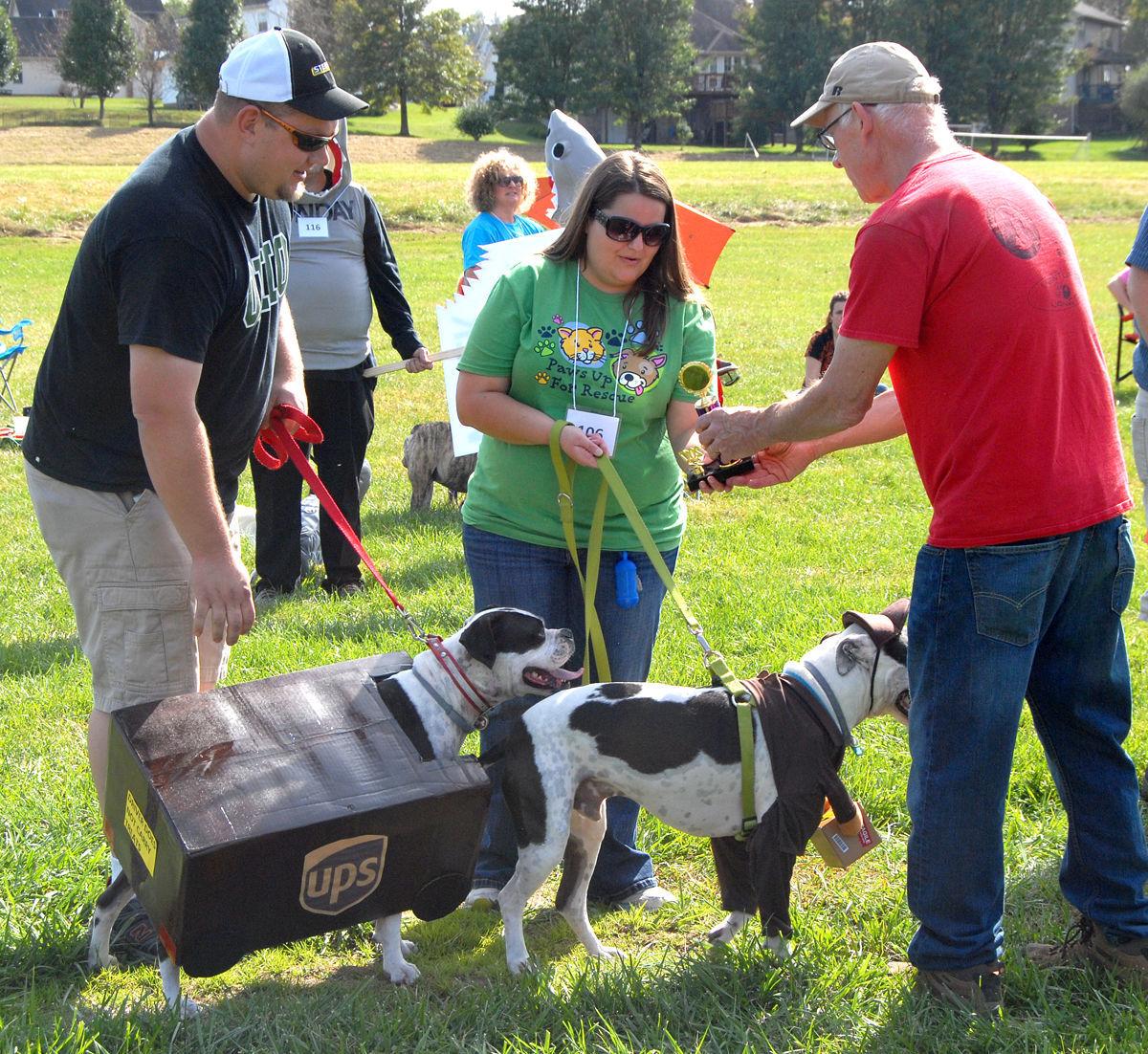 New Hope Animal Rescue hosts annual Halloween pet costume ...