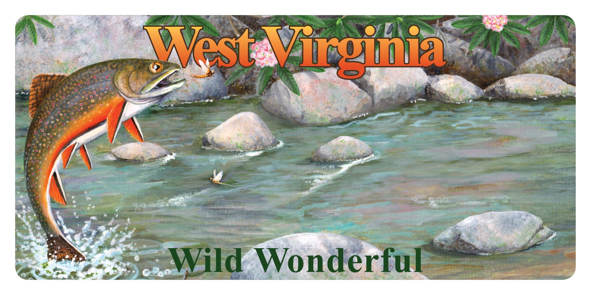 W.Va. s new wildlife license plates feature brook trout bluebird