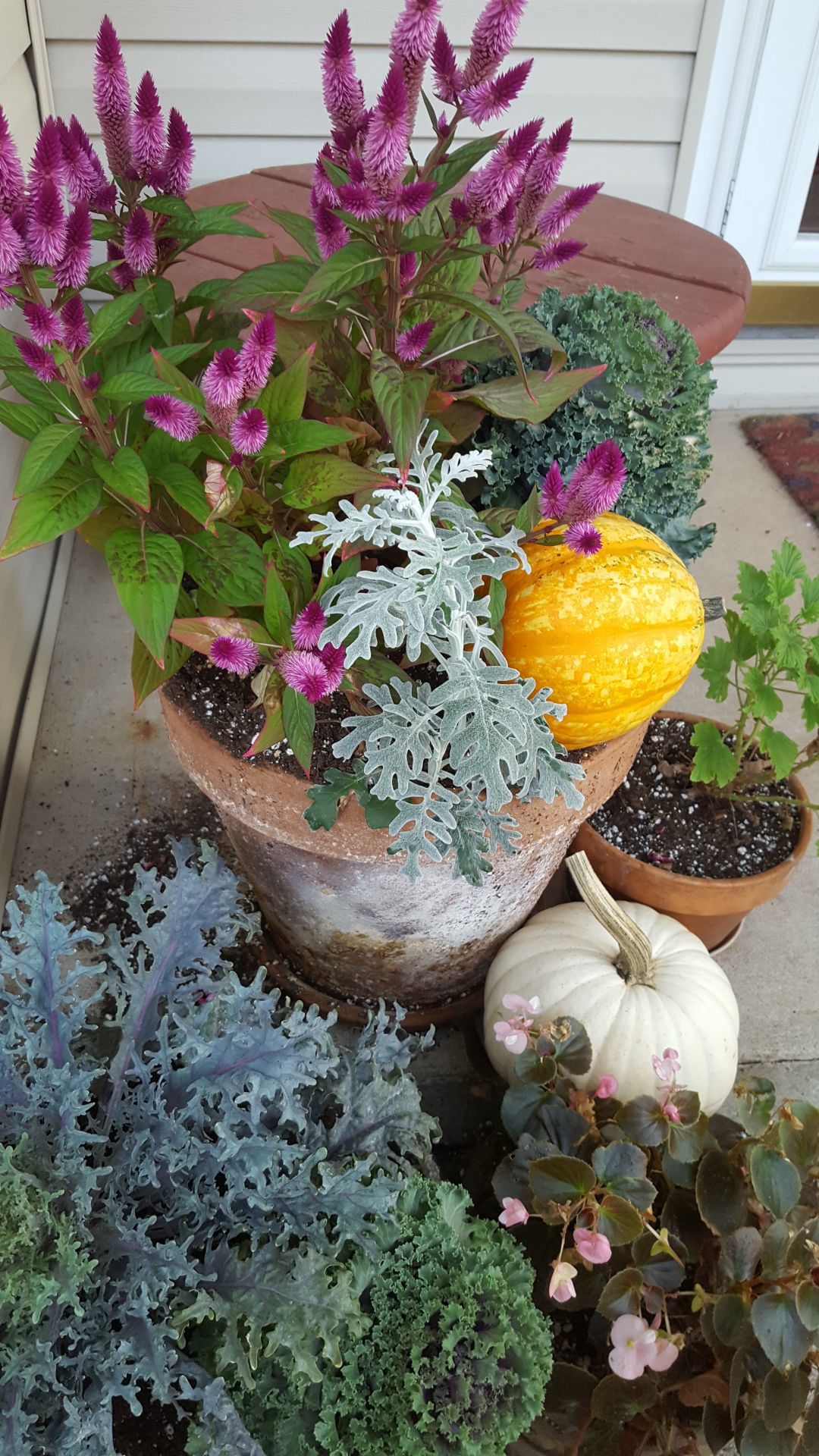 Good To Grow Keeping Your Garden Exciting Through Fall Gardening Wvgazettemail Com