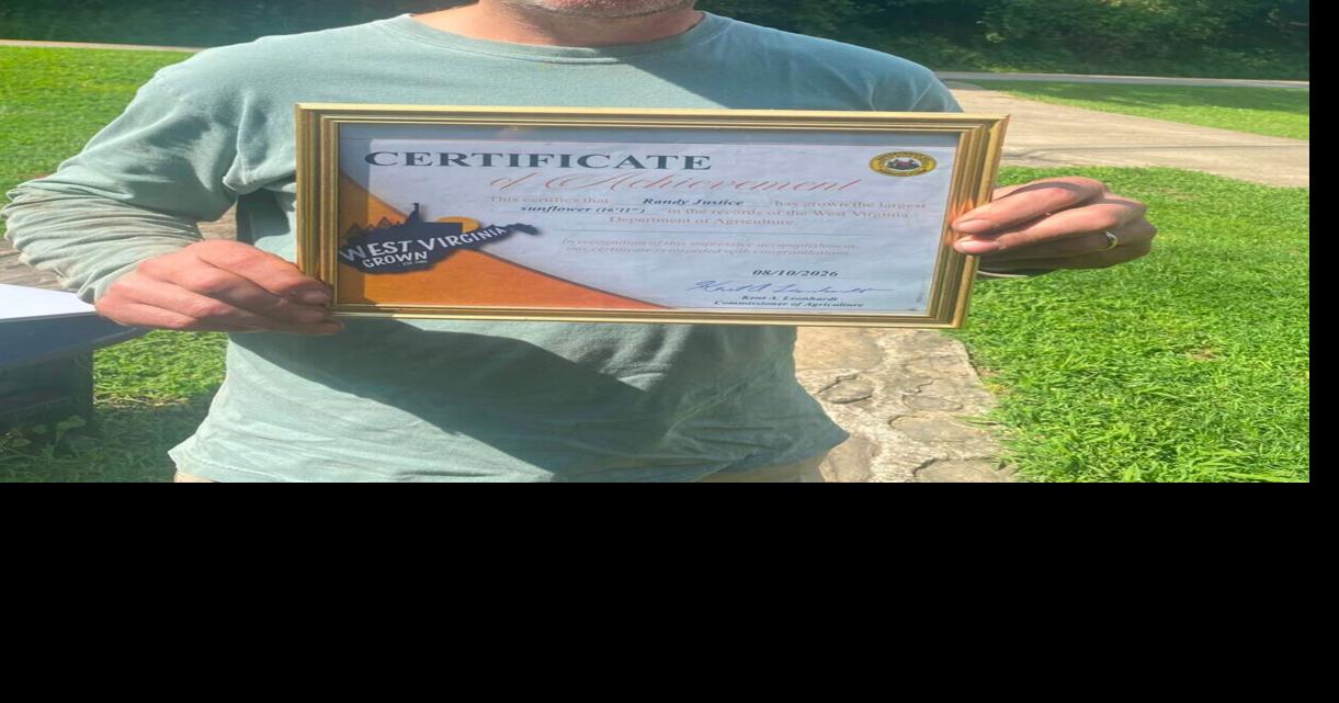 Lincoln County man sets WV record for largest sunflower