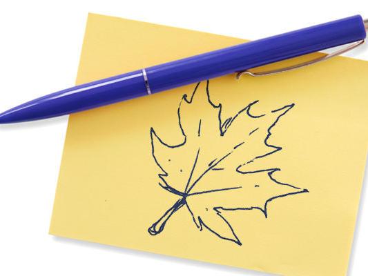 LETTER: Morrisey, Legislature should not help undermine health care