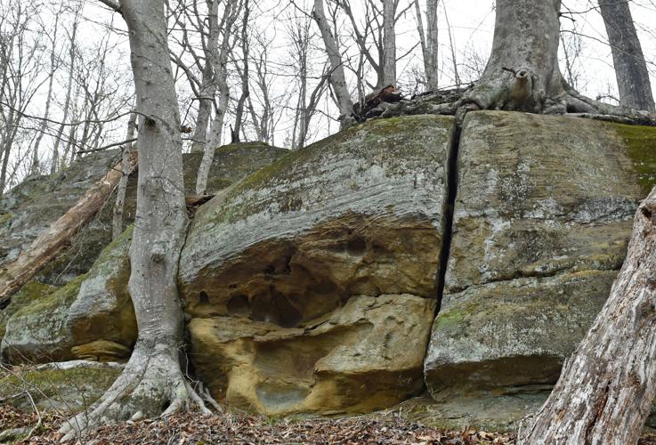 Hungry Beech Preserve and Loop Trail