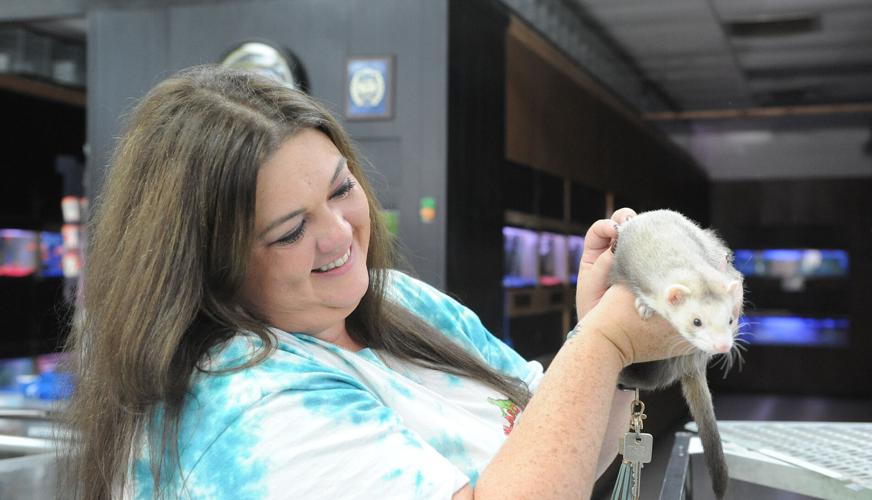 Inland Reef Pet Store