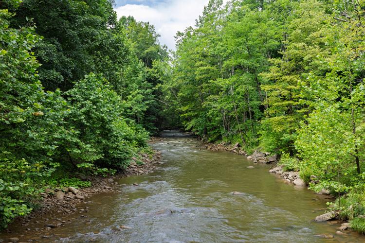 South Fork Cherry River