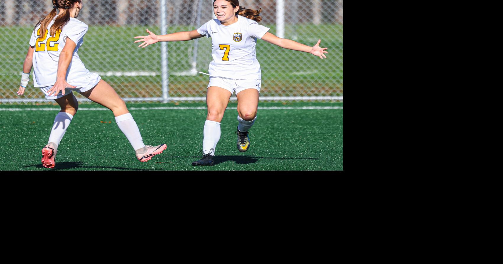 Prep girls soccer: Bees' Larnerd plays way to state's top honor