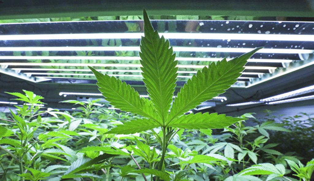 House passes medical marijuana changes