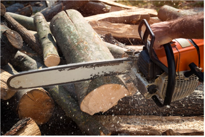 Best Wood Chipper and PTO Wood Chipper Guide for 2025
