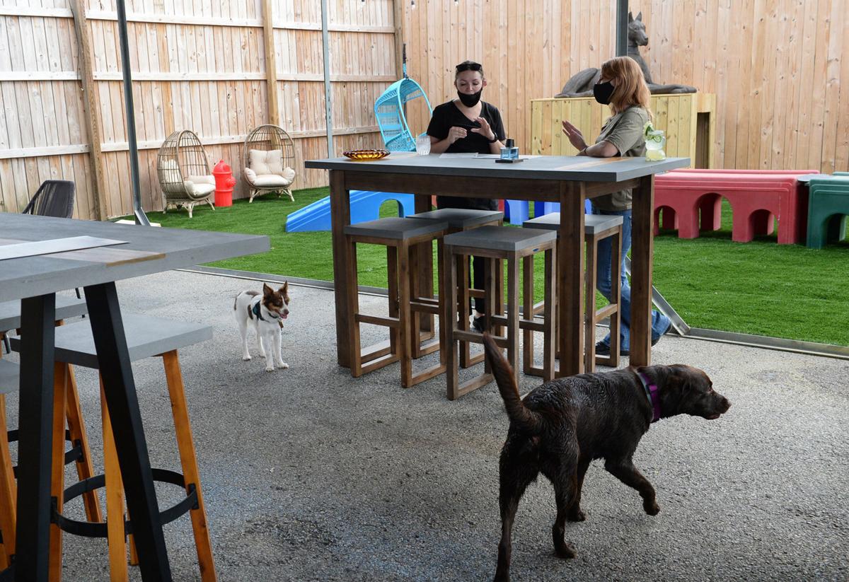 New Charleston Bar A Place To Have A Drink With Man S Best Friend Food Dining Wvgazettemail Com