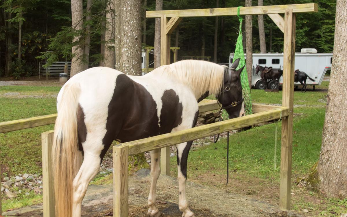 'Horse camping' proves popular at Southern WV park Recreation