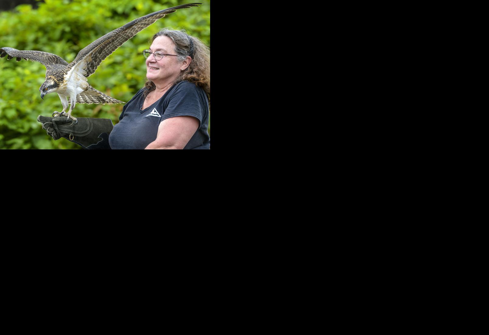 Osprey Release -- MAIN