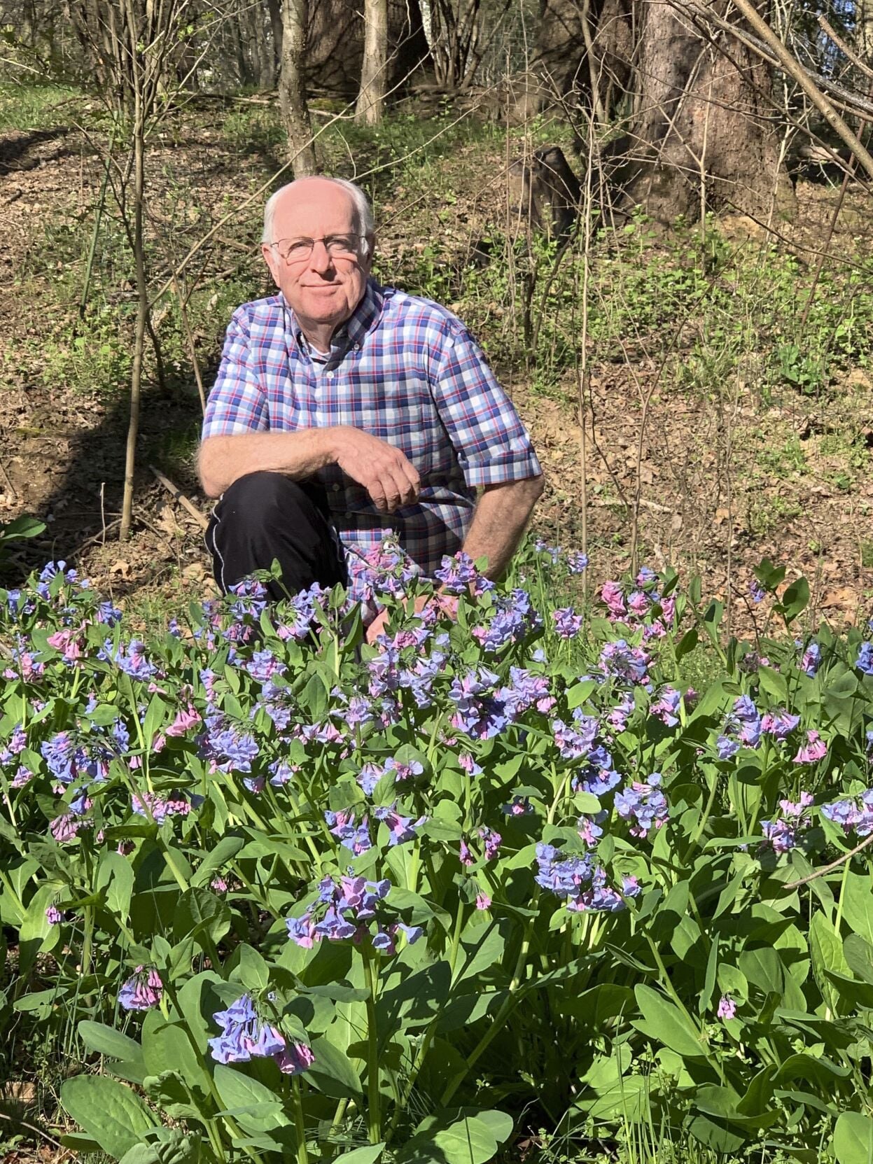 Gardening-Tallamy-Native Plants-Q&A