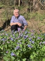 Every yard makes a difference. Native-plant champion Doug Tallamy's got a new book explaining how