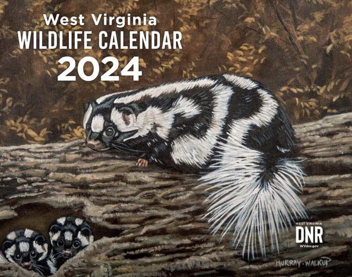 State historical, nature calendars available for 2024 | Daily Mail WV |  wvgazettemail.com