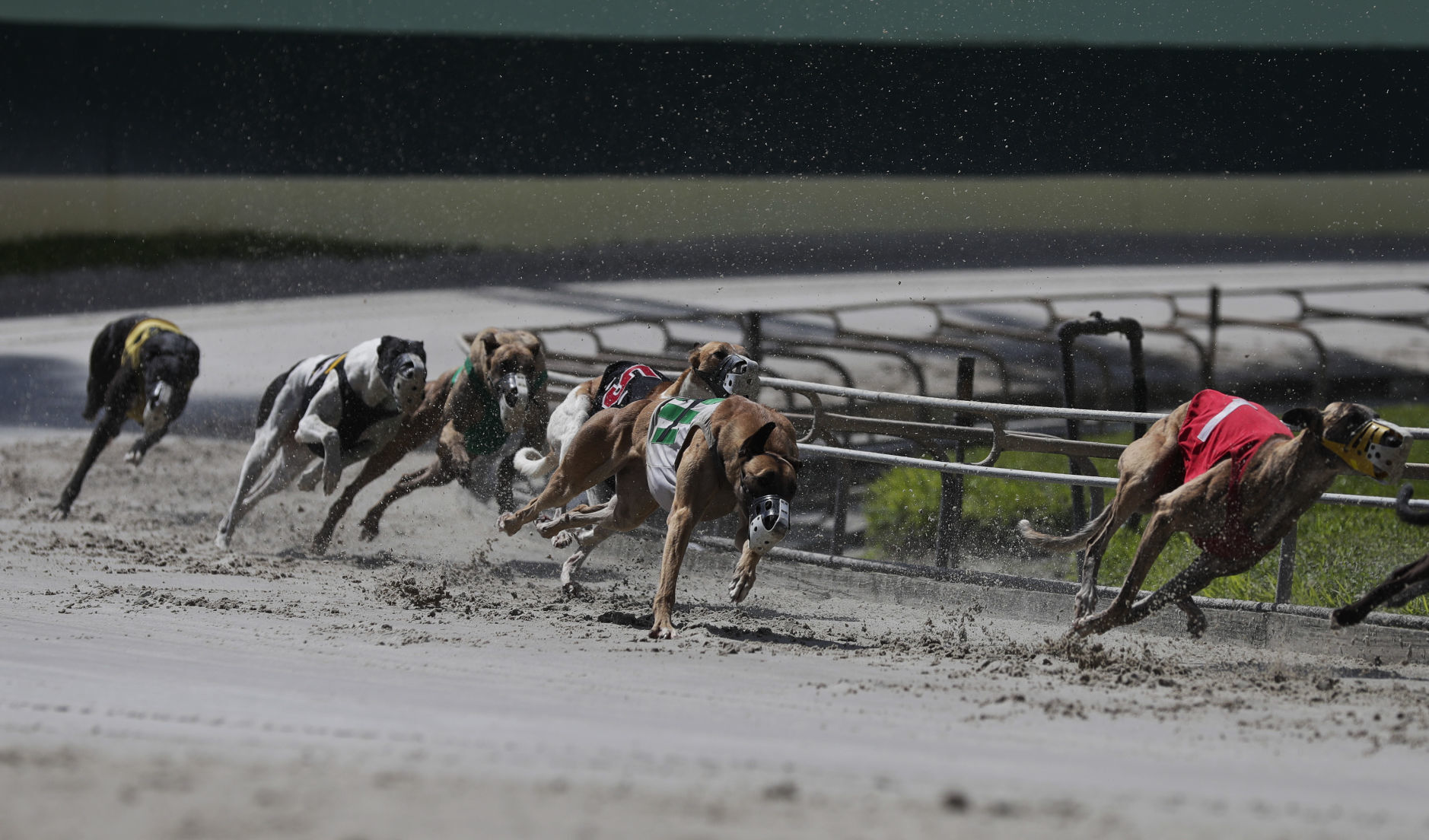 WV Racing Commission directs funds to Greyhound Hall of Fame museum in Kansas - Vimarsana News
