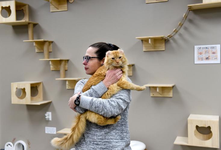 CatCafe1