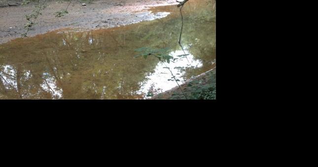 Federal judge rules Union Carbide violated water pollution, waste disposal laws in South Charleston - Vimarsana News