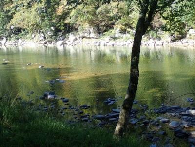 Greenbrier River at Fort Spring