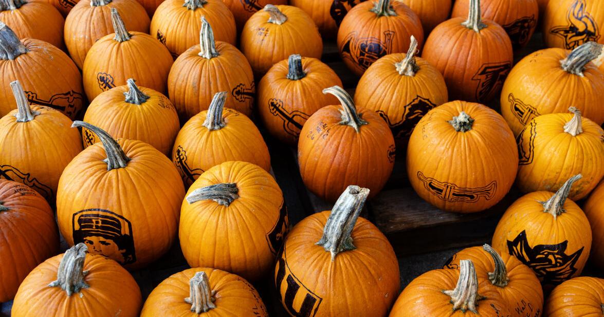 Volunteers help out with the Pumpkin House display; still time to get involved