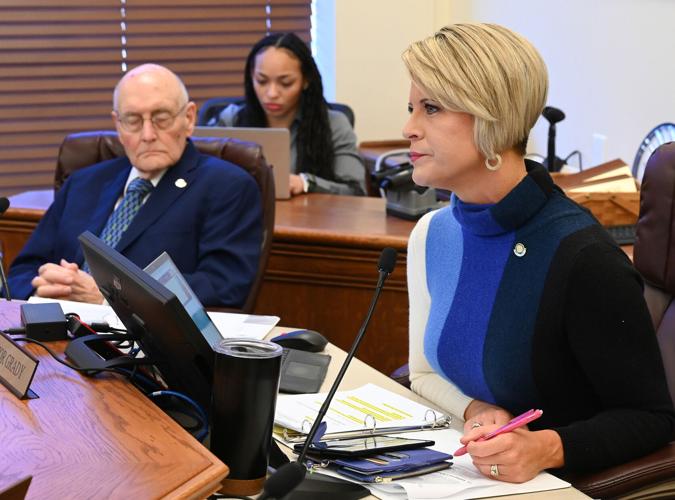 Sen. Amy Grady, R-Mason