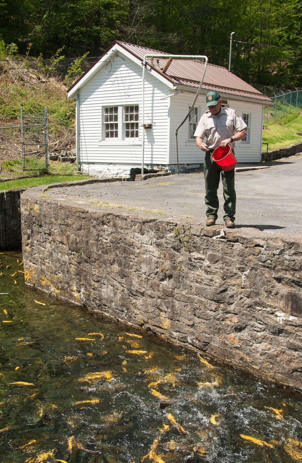 W.Va.’s fish hatcheries deteriorate with time Outdoor Pursuits