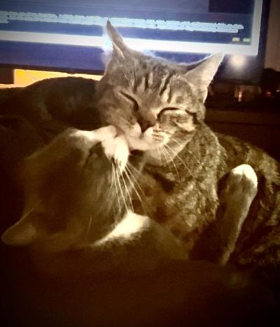 tate and stubbs.jpg